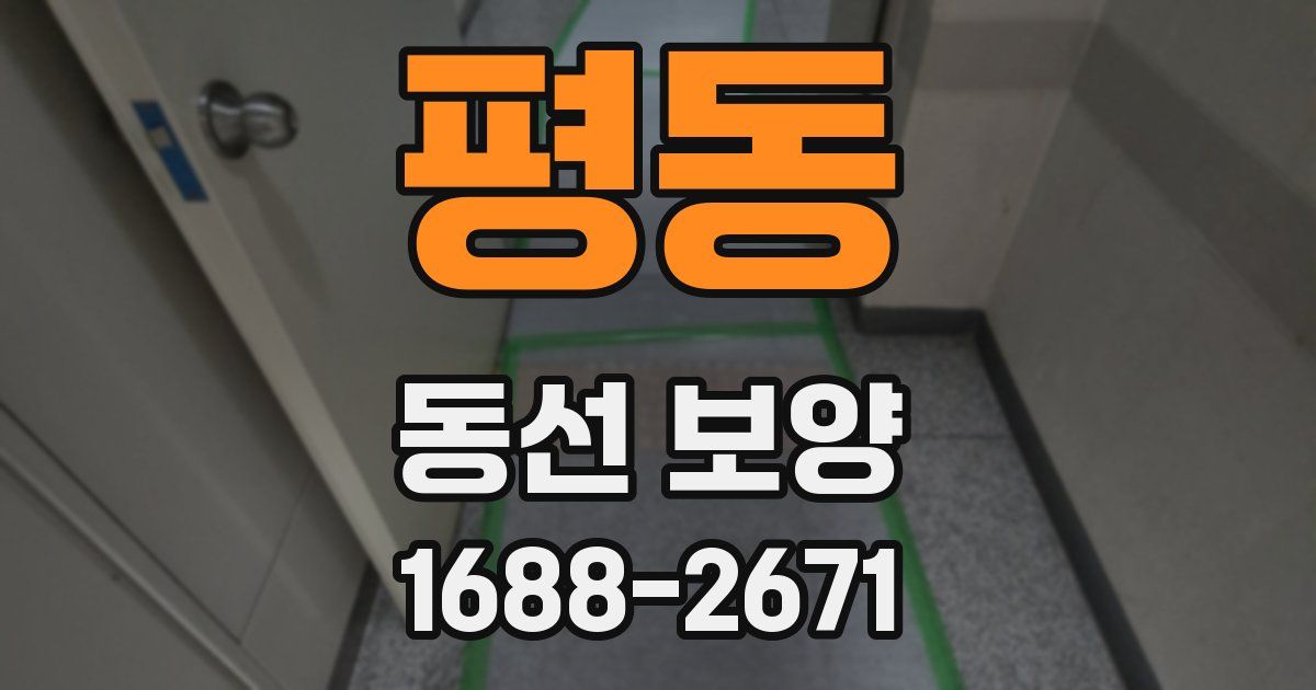 평동 동선 보양