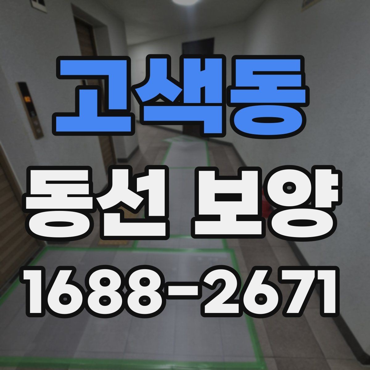 고색동 동선 보양 비용과 범위는 어떻게 달라질까