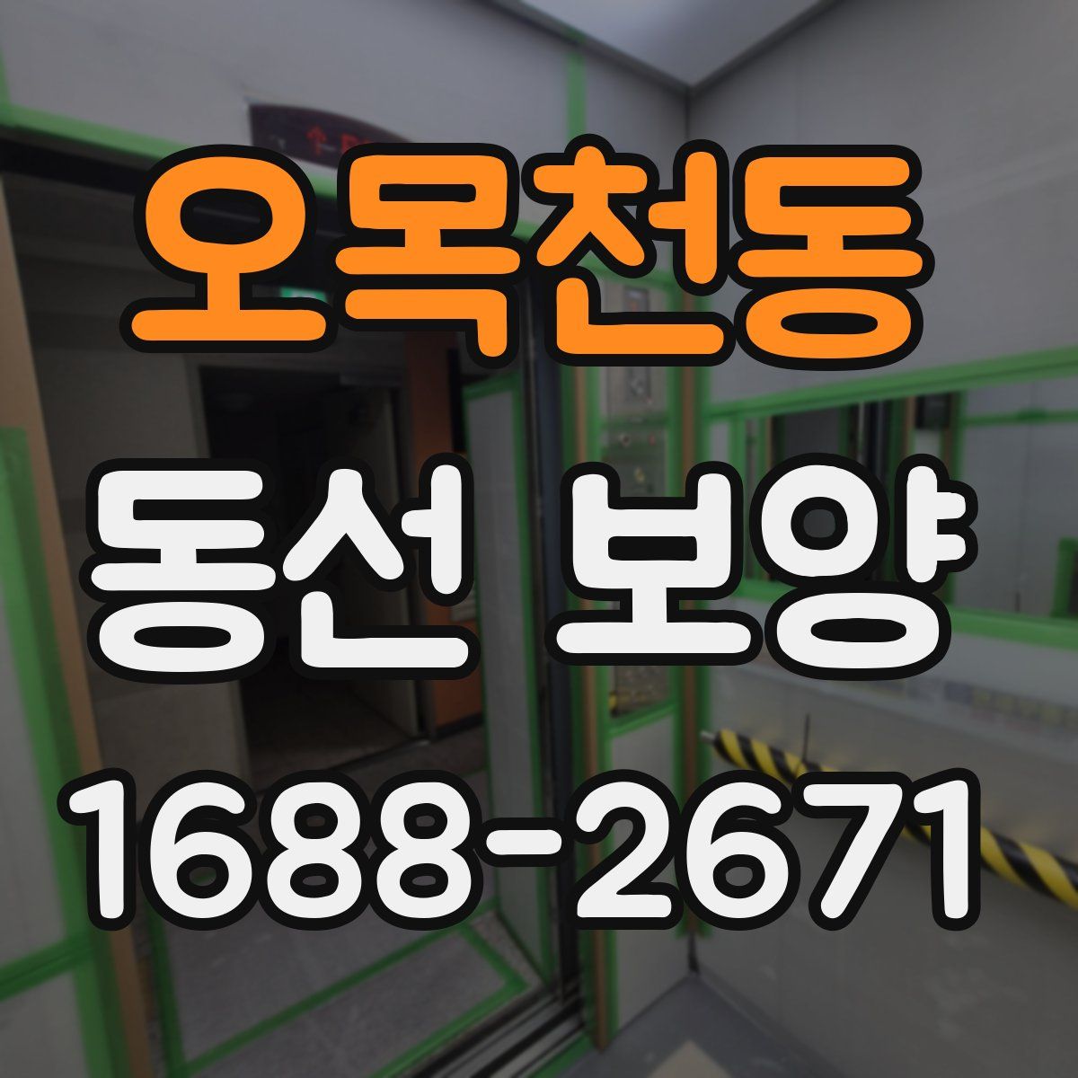 오목천동 동선 보양