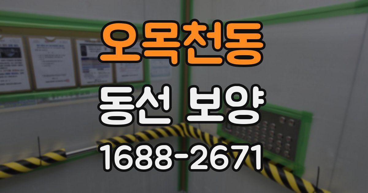 오목천동 동선 보양