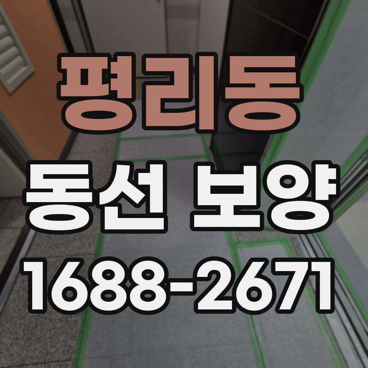 평리동 동선 보양 적용 범위를 정하는 기준