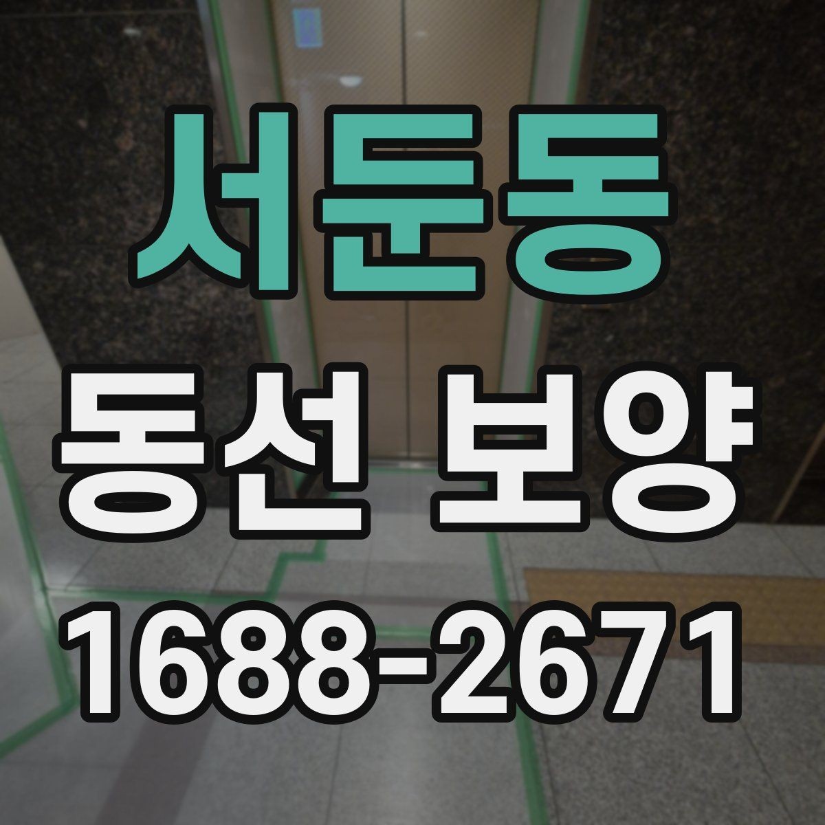 서둔동 동선 보양 공정에서 누락하기 쉬운 단계