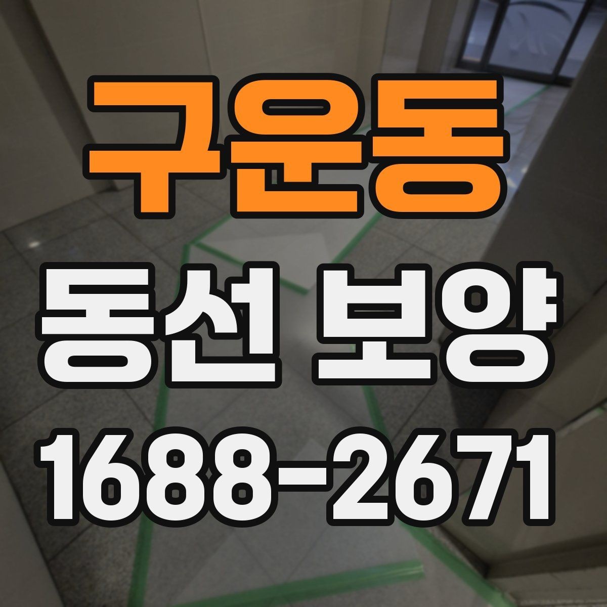 구운동 동선 보양 자재별 장단점 한눈에 보기