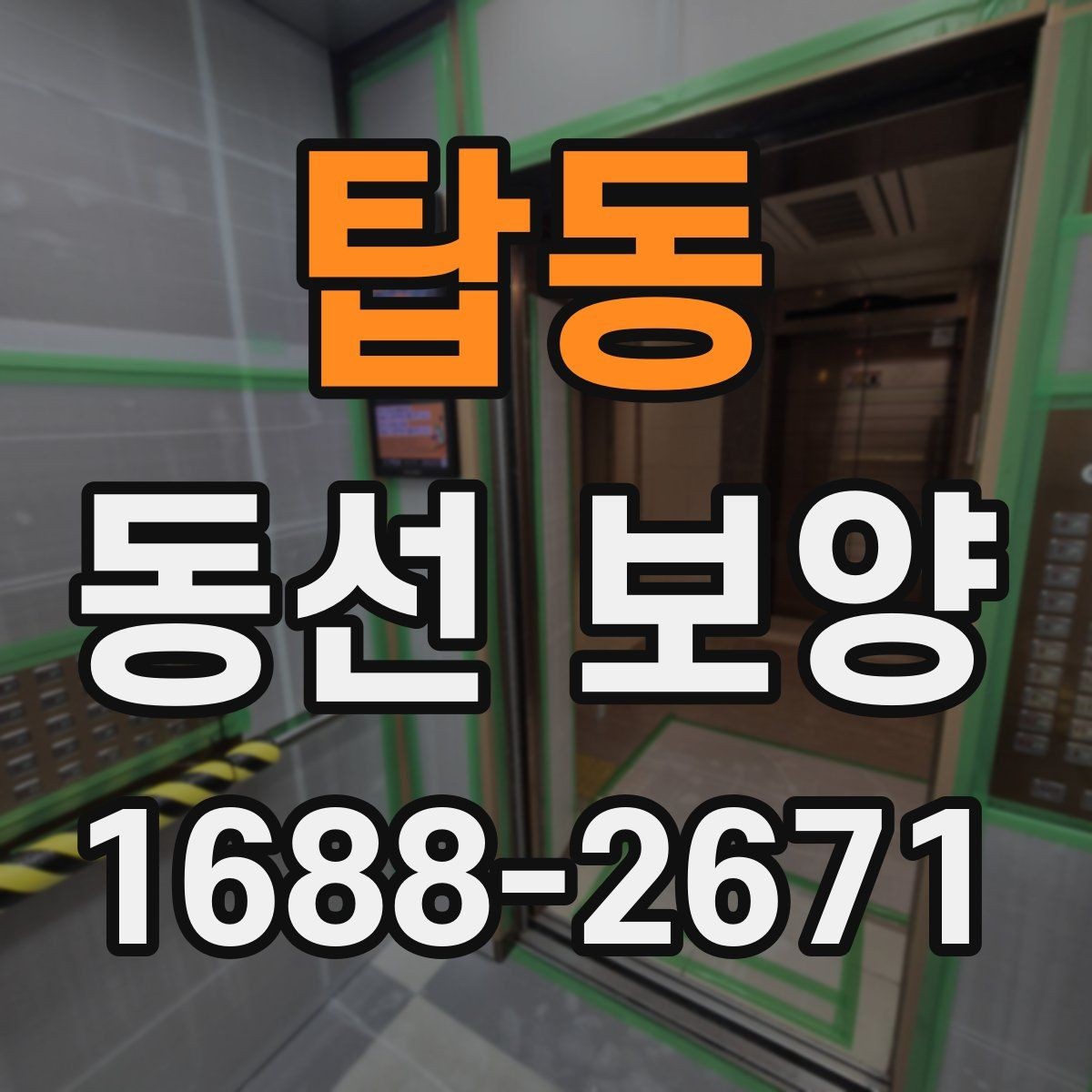 탑동 동선 보양 과정에서 발생할 수 있는 문제