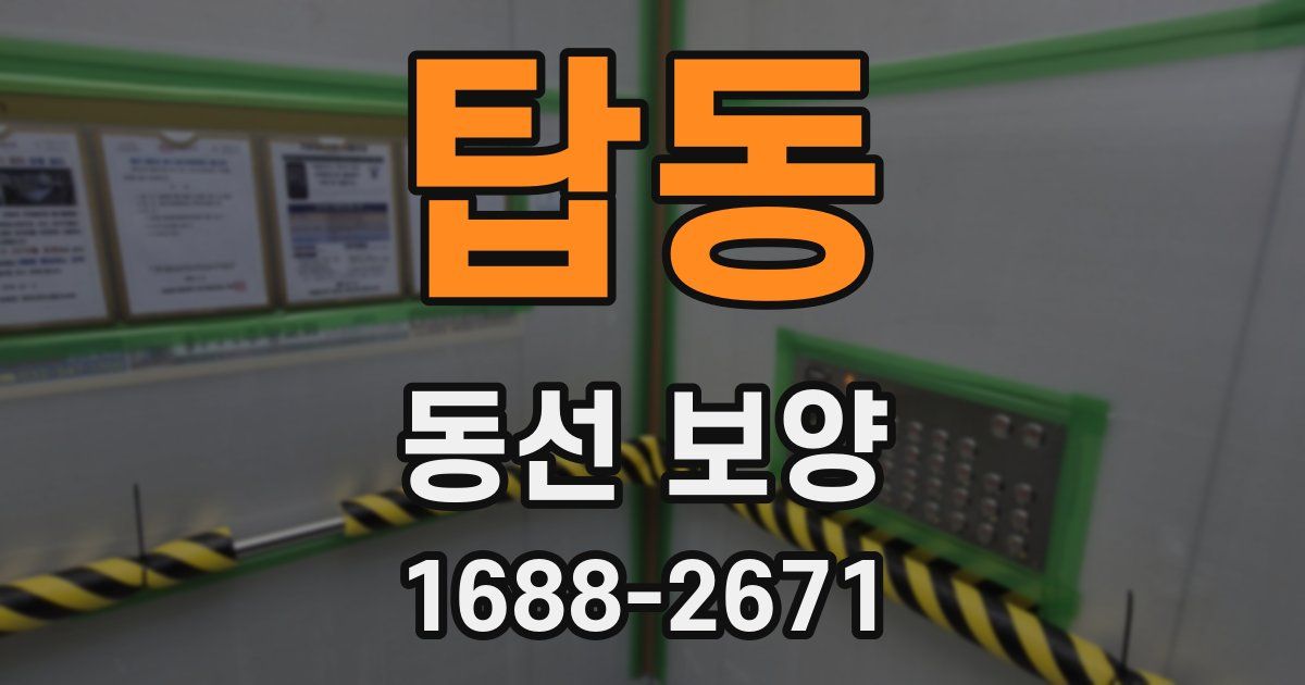 탑동 동선 보양