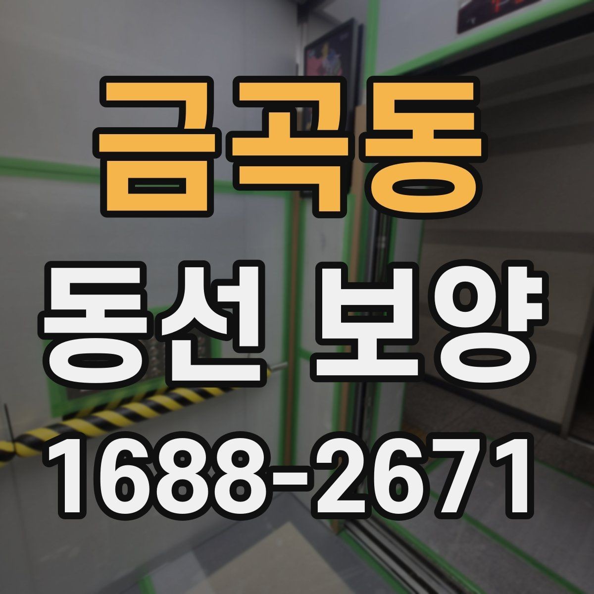 금곡동 동선 보양 비교 시 살펴봐야 할 차이점