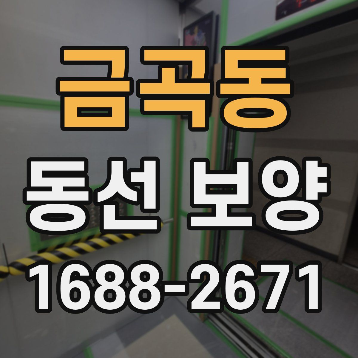 금곡동 동선 보양