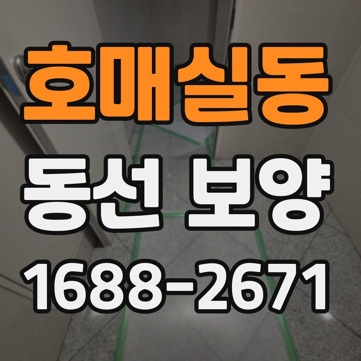 호매실동 동선 보양 공정이 필요한 이유 살펴보기