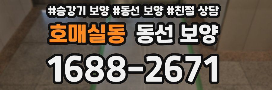 호매실동 동선 보양