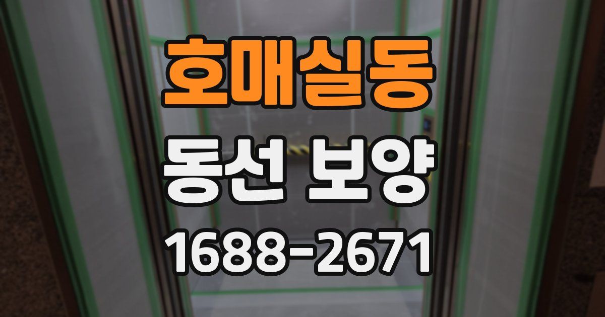 호매실동 동선 보양