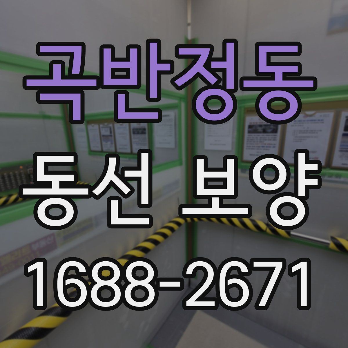 곡반정동 동선 보양 진행 시 작업자 체크리스트