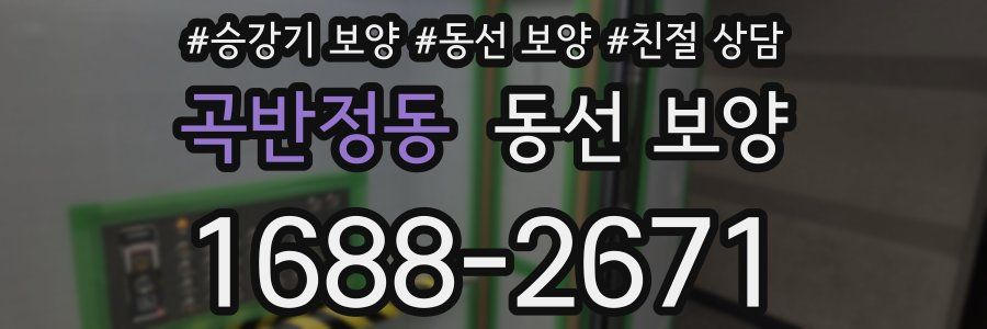 곡반정동 동선 보양