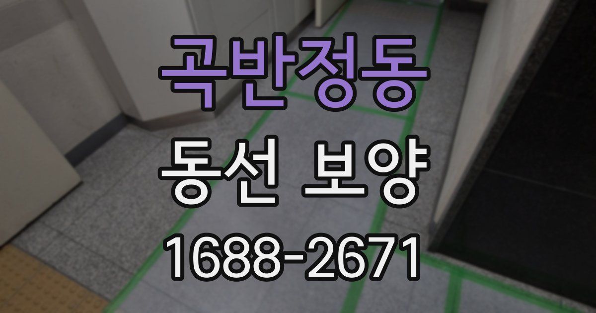 곡반정동 동선 보양