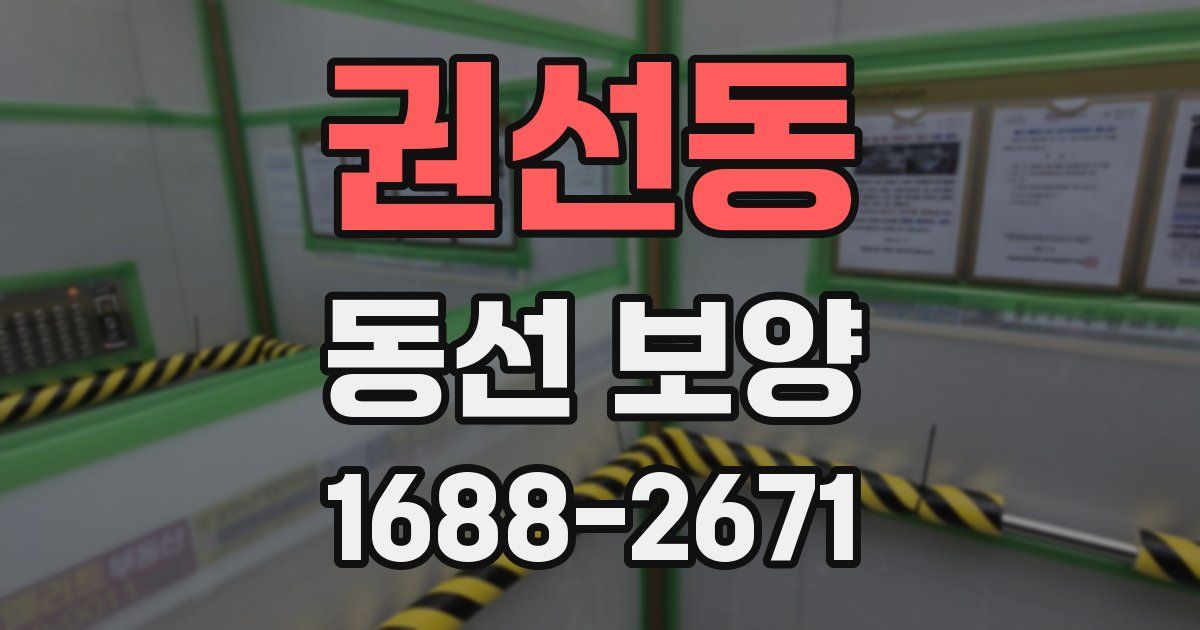 권선동 동선 보양