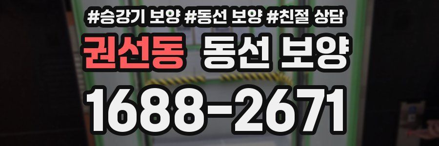권선동 동선 보양