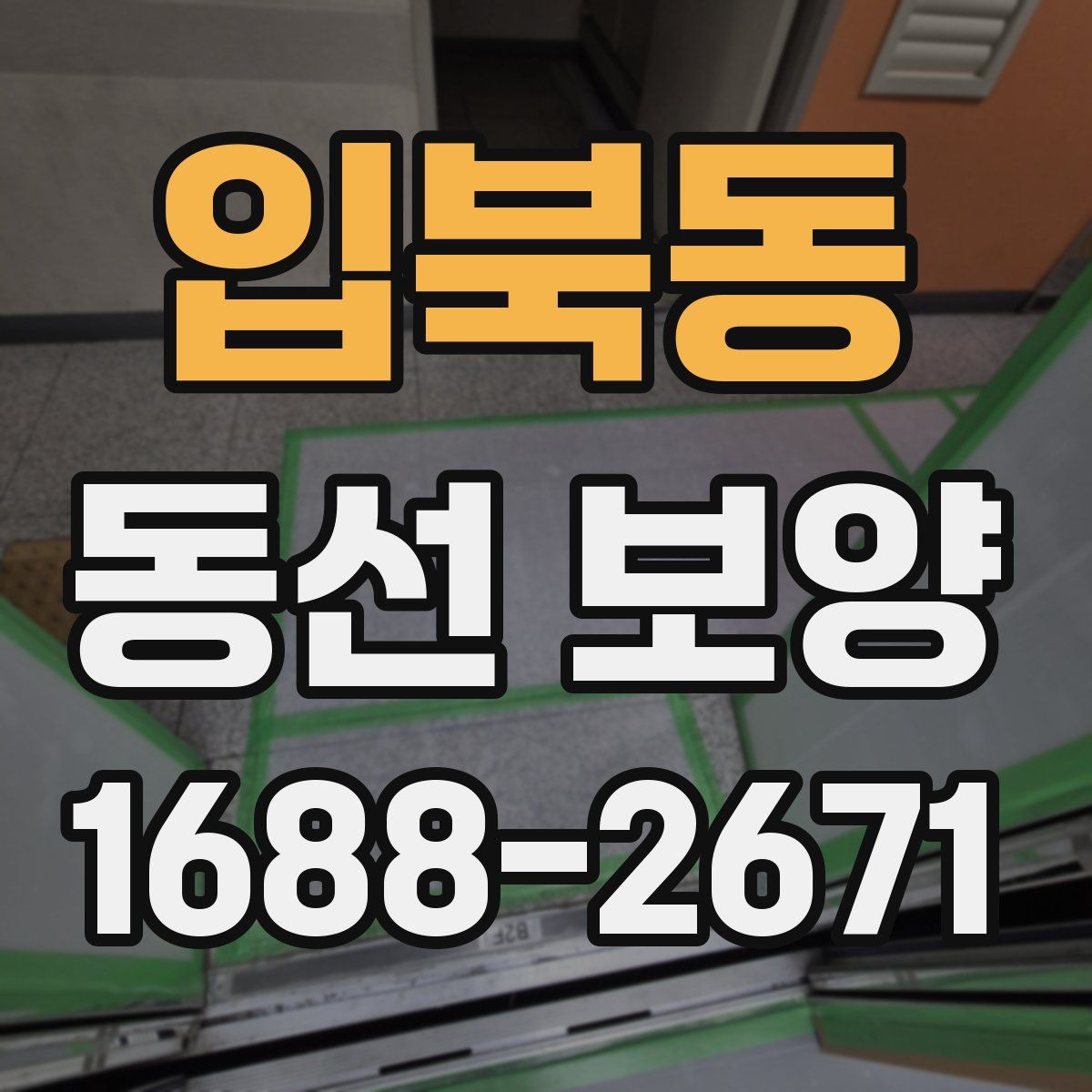 입북동 동선 보양