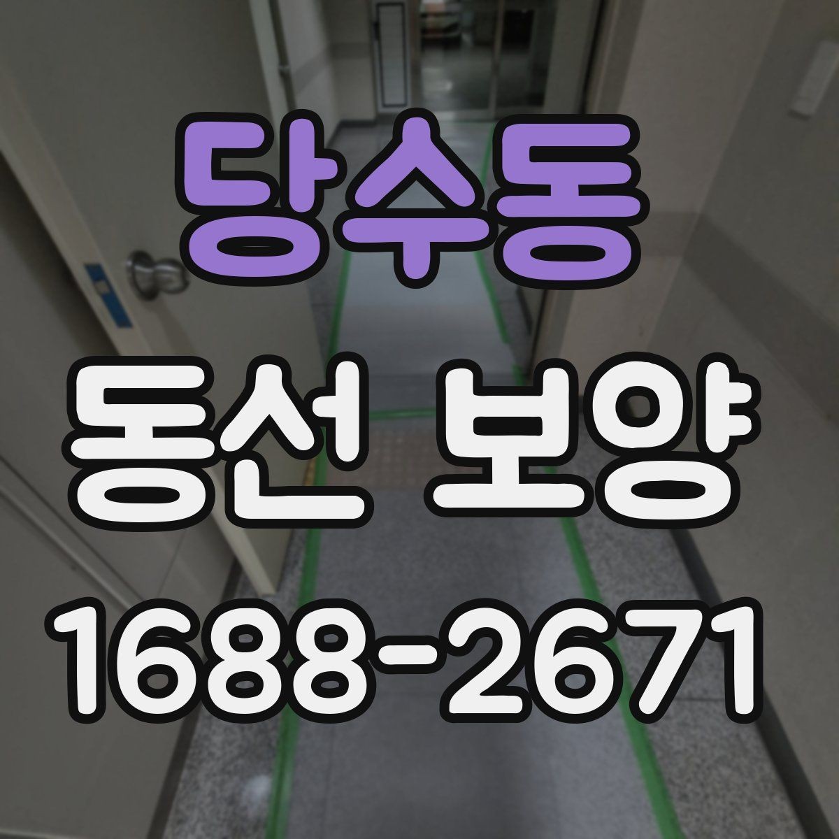 당수동 동선 보양 일정이 꼬이지 않도록 조율하는 법