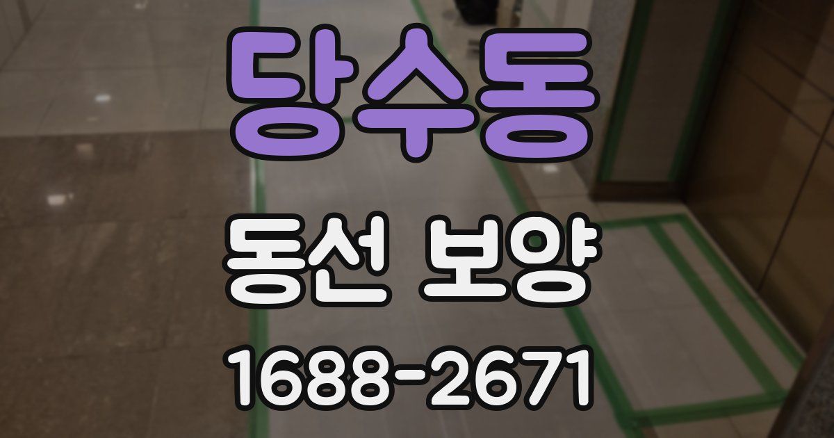 당수동 동선 보양