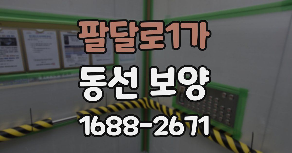 팔달로1가 동선 보양