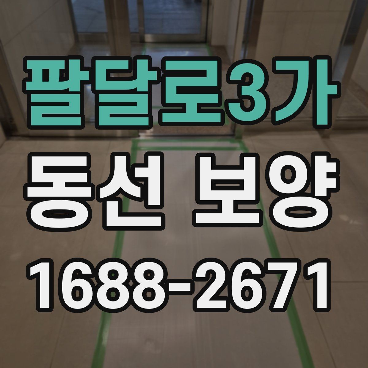 팔달로3가 동선 보양 적용 시기와 적절한 타이밍