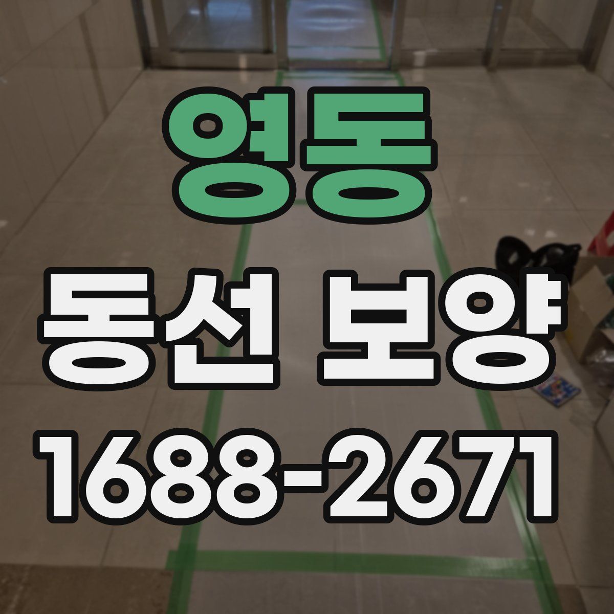 영동 동선 보양