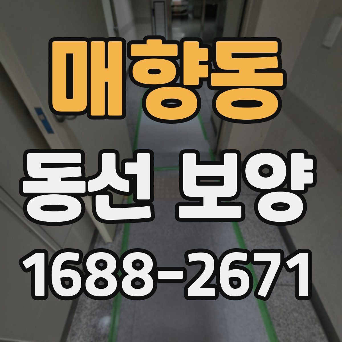 매향동 동선 보양 작업 전후로 비교해 보는 변화