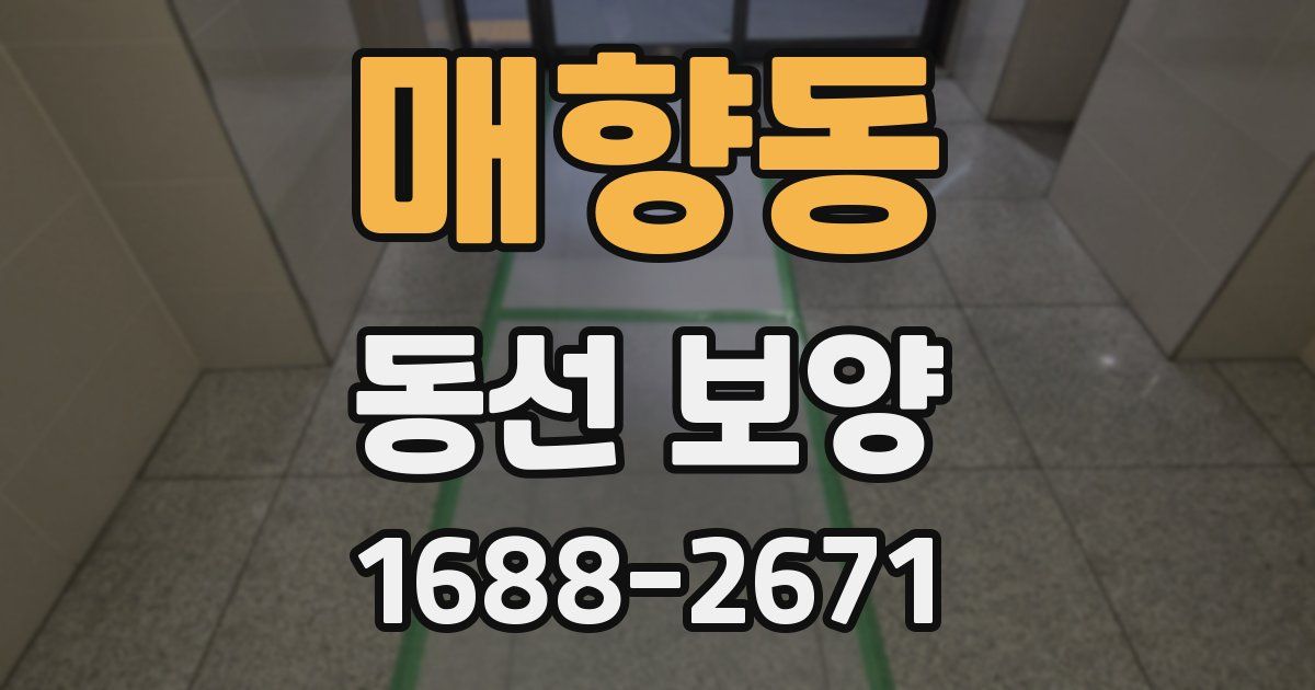 매향동 동선 보양