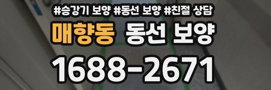 매향동 동선 보양