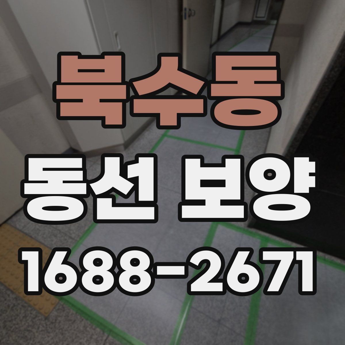 북수동 동선 보양 일정이 꼬이지 않도록 조율하는 법