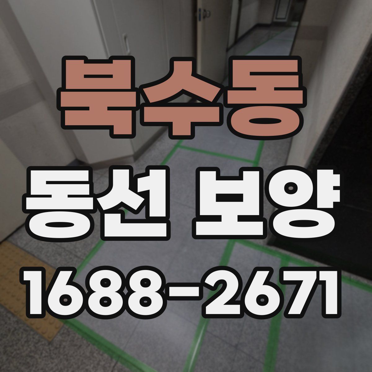 북수동 동선 보양