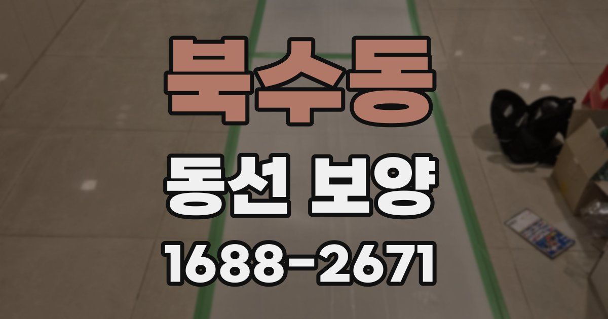 북수동 동선 보양