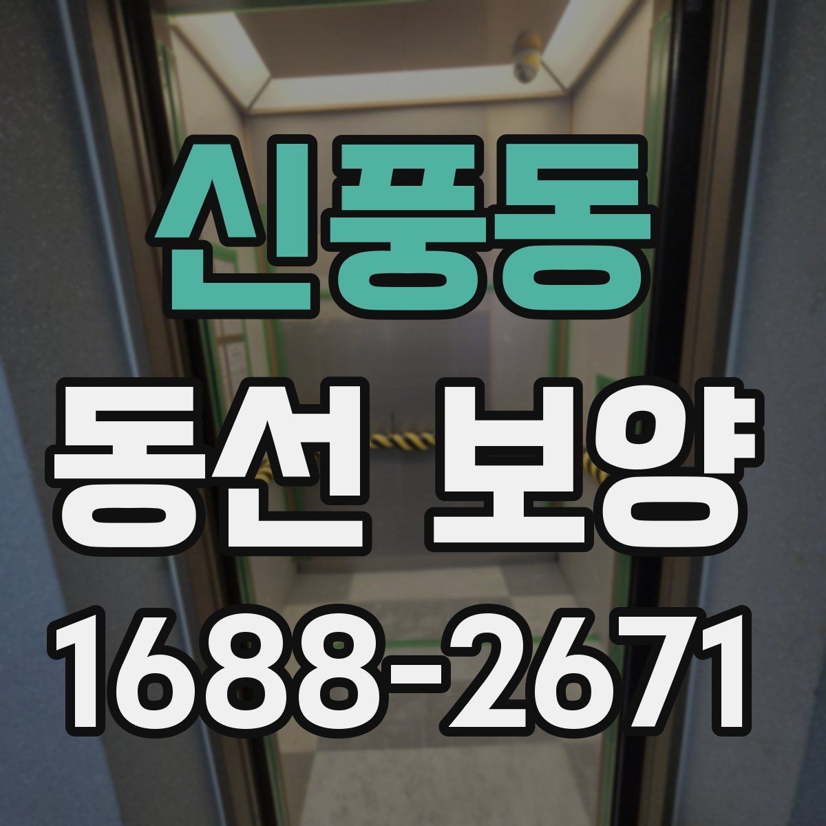신풍동 동선 보양 계획을 세울 때 우선순위 정하기