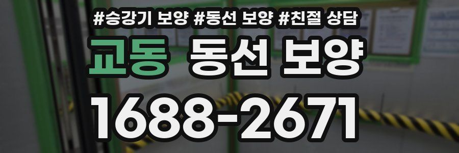 교동 동선 보양