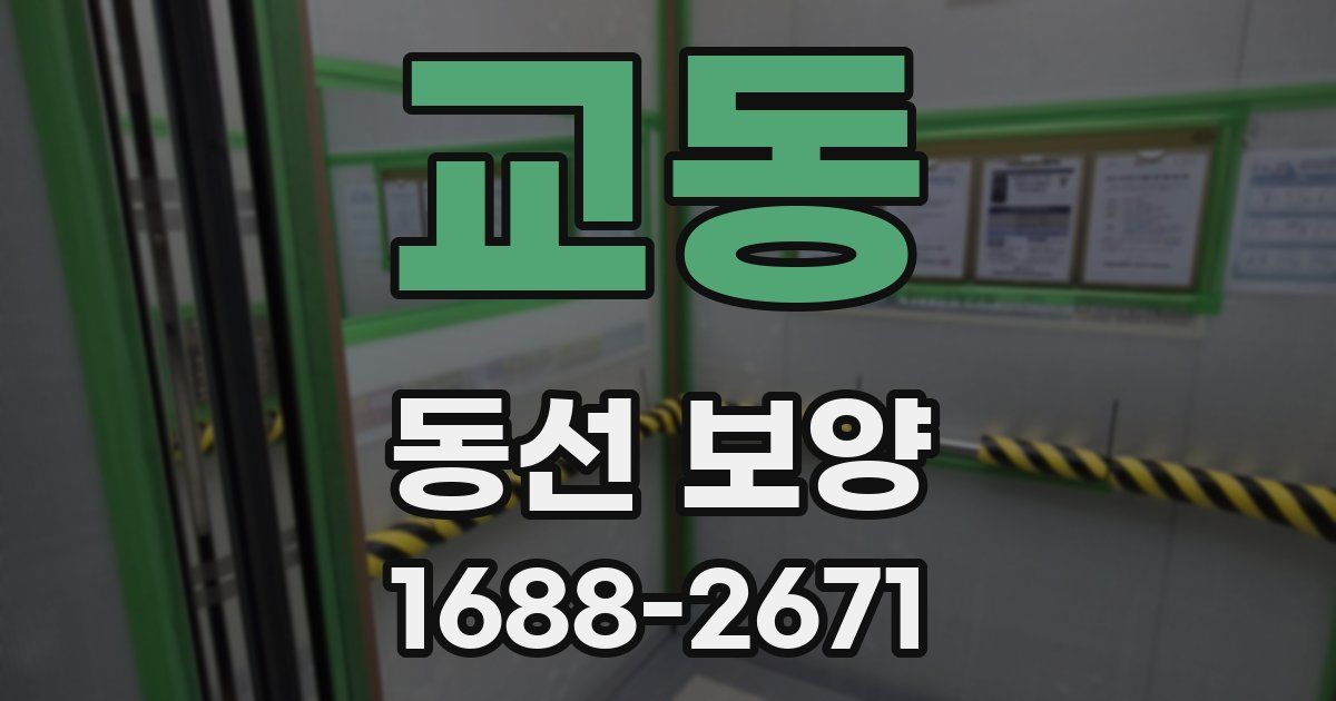 교동 동선 보양