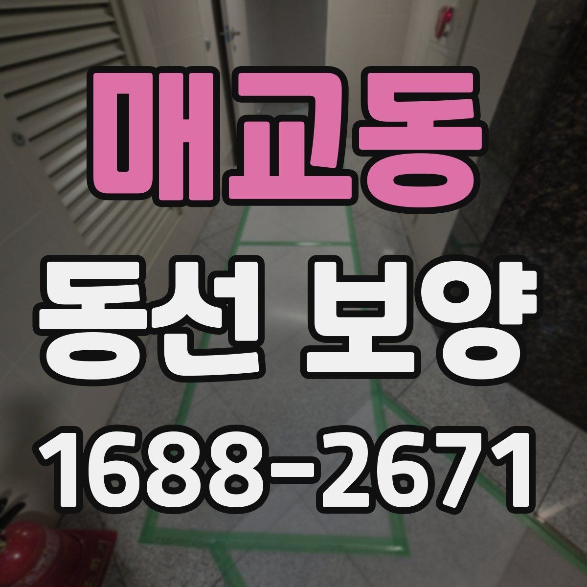 매교동 동선 보양 비용을 절감할 때 주의할 점