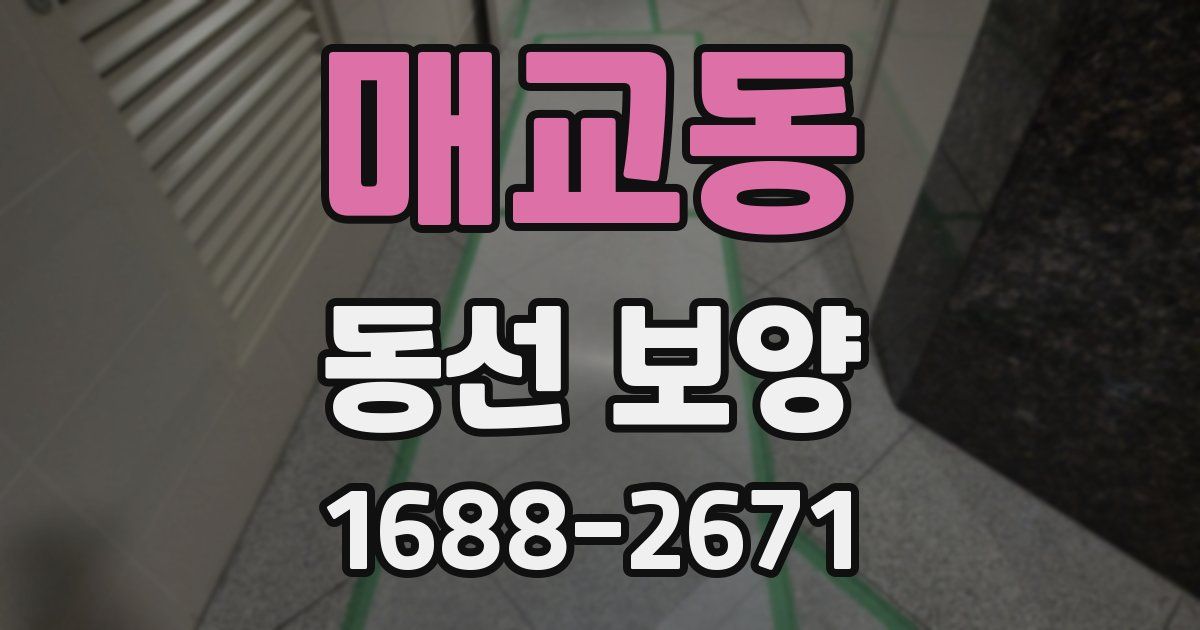 매교동 동선 보양