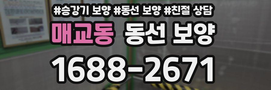 매교동 동선 보양