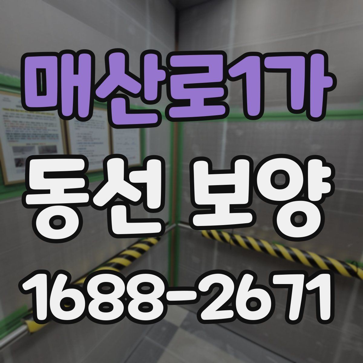 매산로1가 동선 보양 후 보수와 관리가 필요한 경우