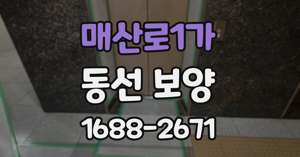 매산로1가 동선 보양