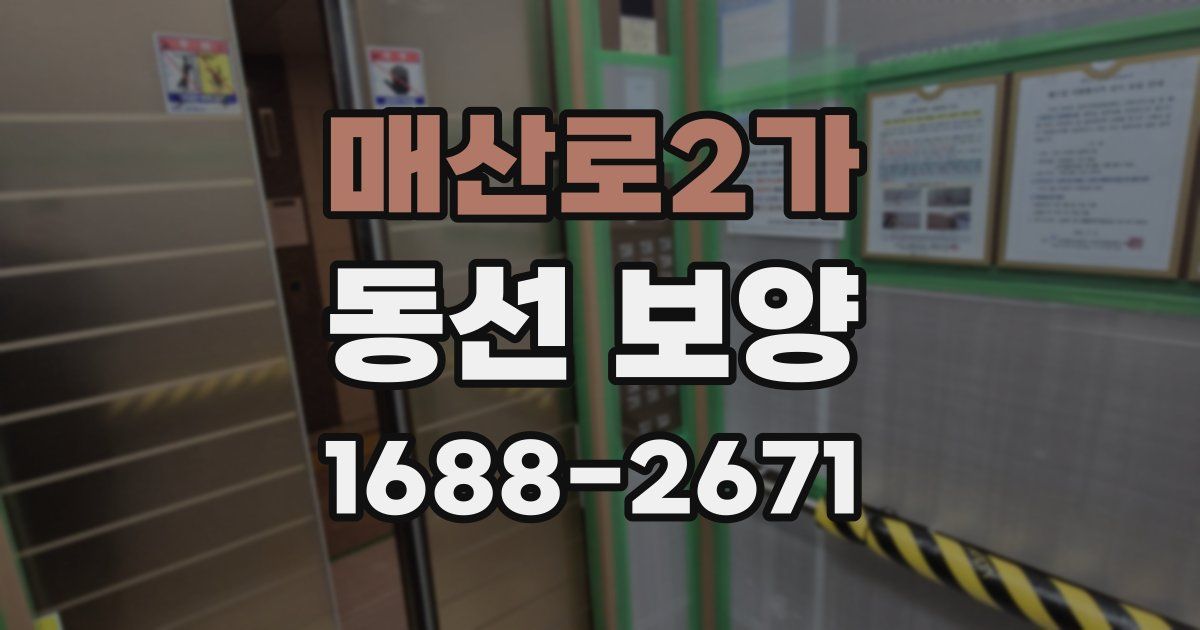 매산로2가 동선 보양