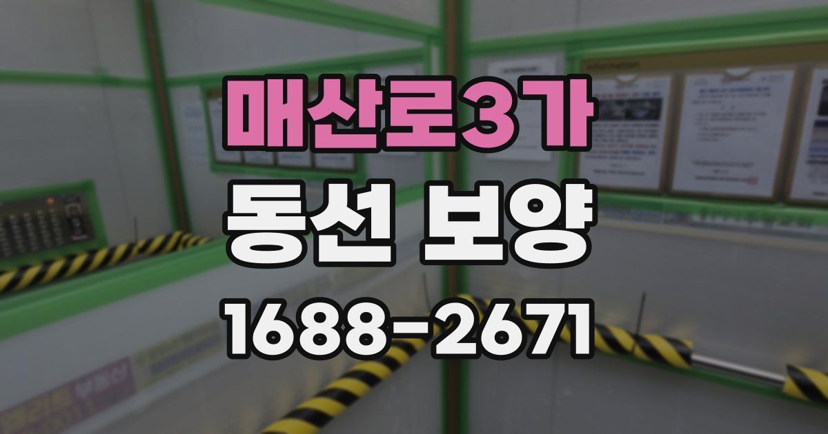 매산로3가 동선 보양