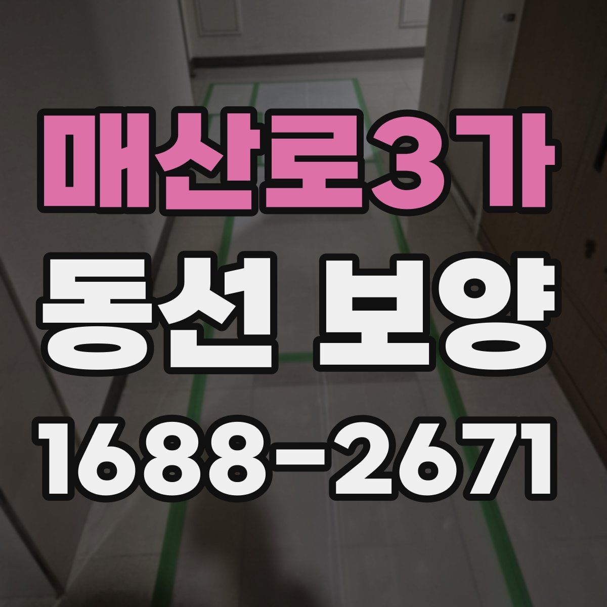 매산로3가 동선 보양
