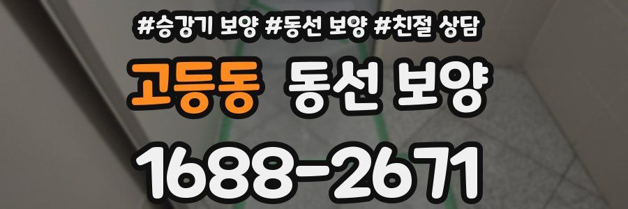 고등동 동선 보양