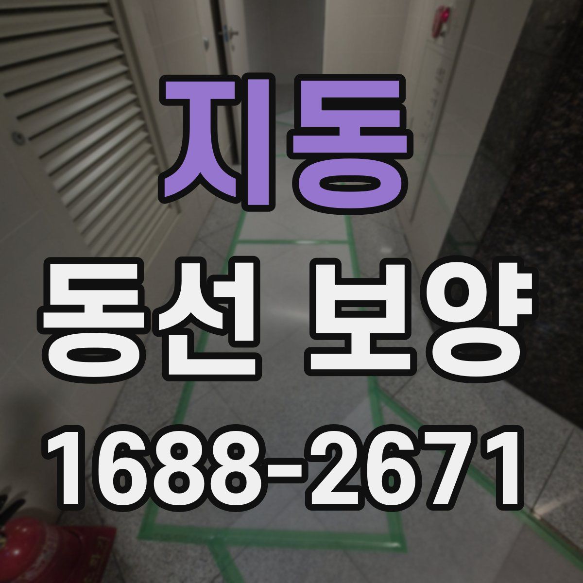 지동 동선 보양