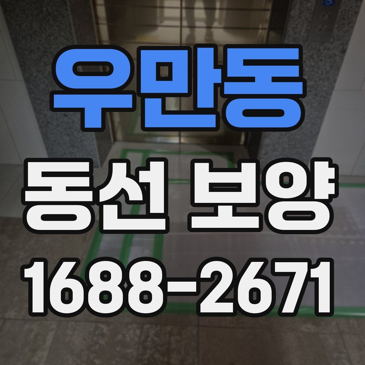 우만동 동선 보양 견적 비교할 때 살펴볼 포인트
