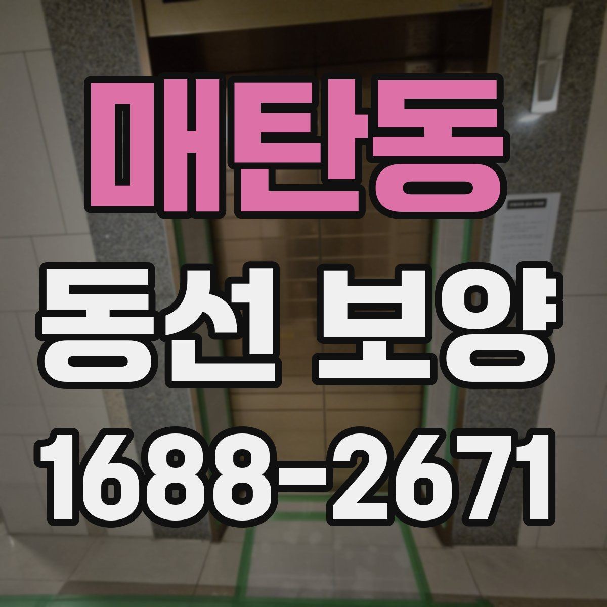 매탄동 동선 보양 과정에서 생길 수 있는 문제와 대응