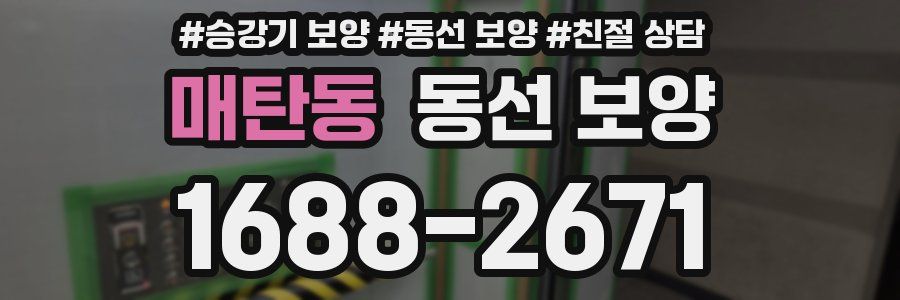 매탄동 동선 보양