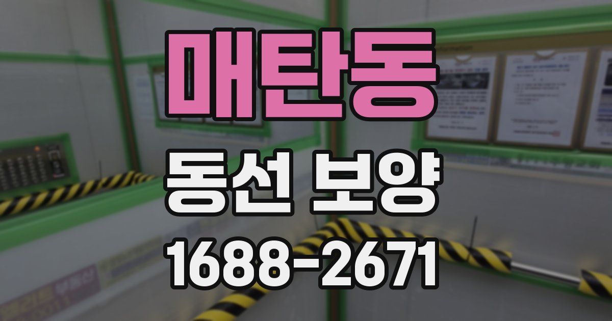 매탄동 동선 보양