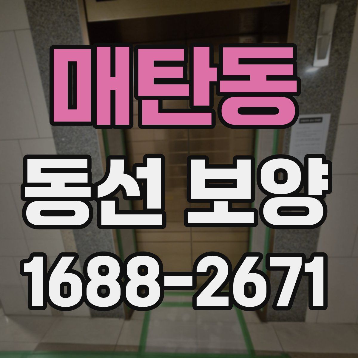 매탄동 동선 보양