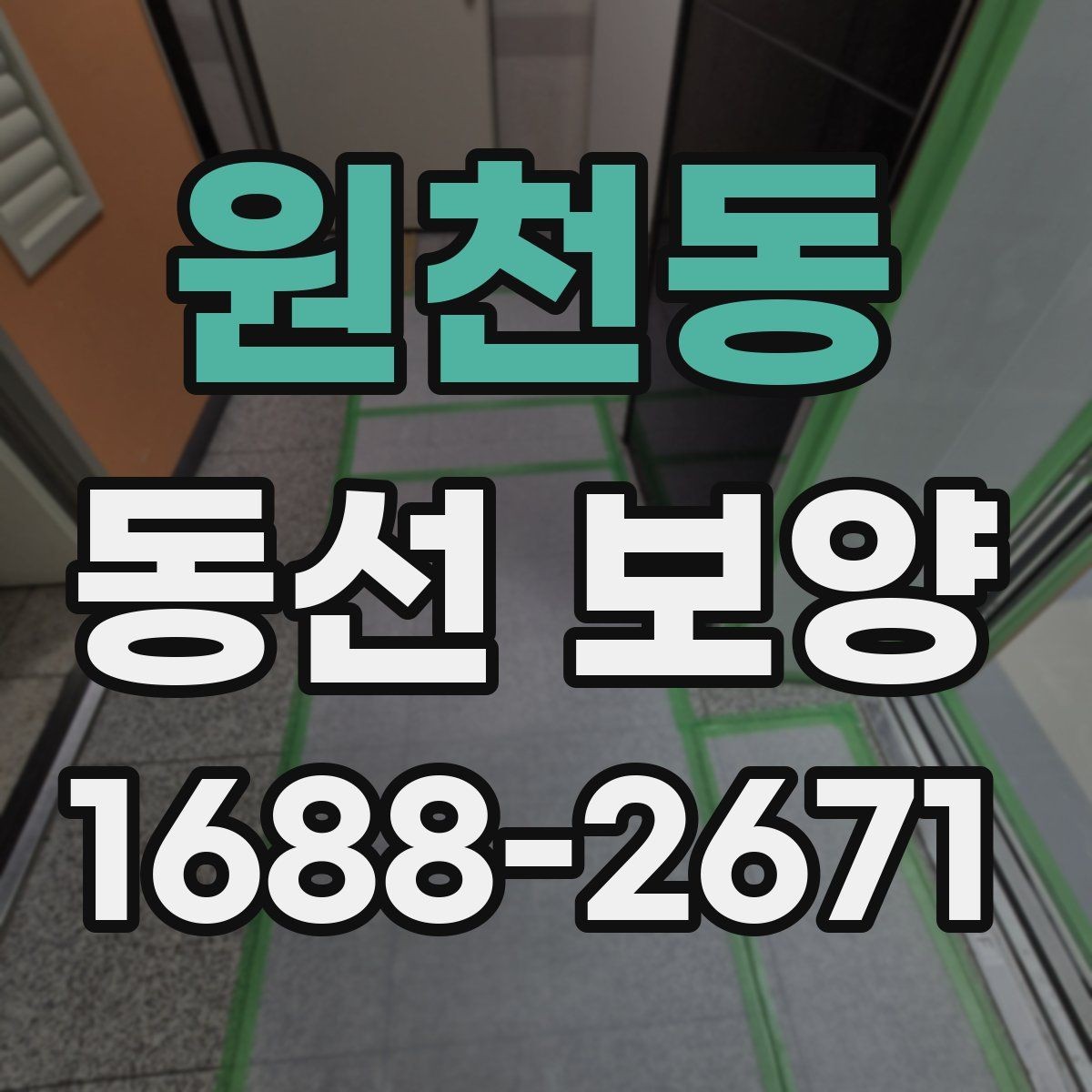 원천동 동선 보양 비용과 품질의 균형 잡기